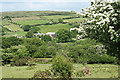 Widecombe in the Moor: towards East Shallowford