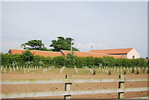 TA0783 : Redcliffe Farm by N Chadwick