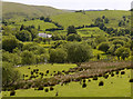 The Wye valley near Pen-y-geulan