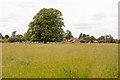 Footpath through field at Sopley Park