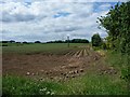 Potato field off Church Lane