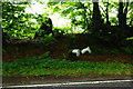 Headfirst on the A395