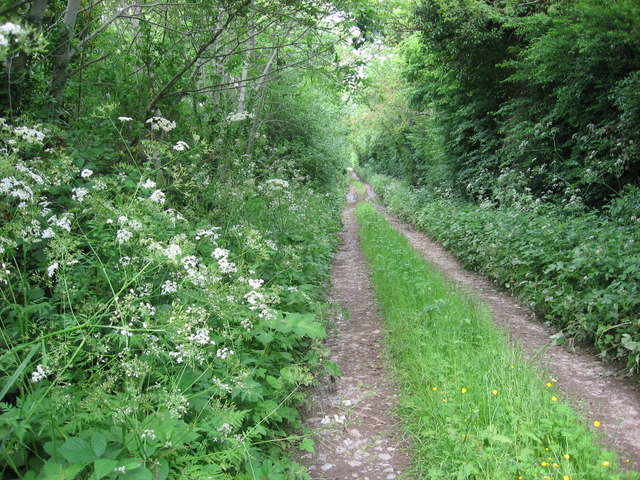 Farm track at Dardistown, Co. Meath