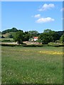 Meadow near Felixkirk