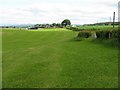 Silage taken