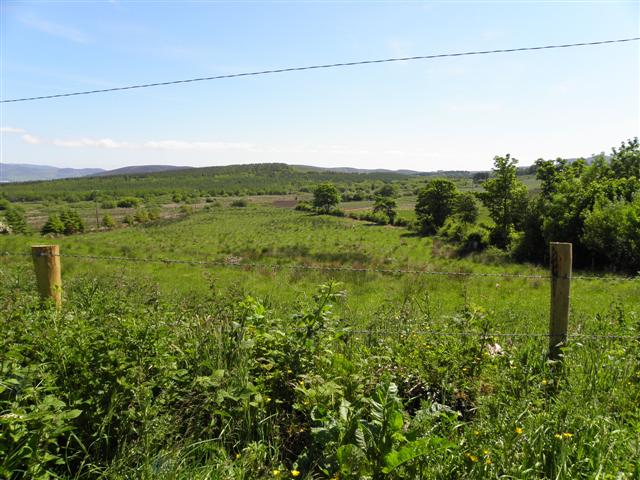 Creeve Townland