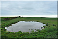 Pond at the edge of a field near Knapsleask