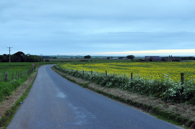 Minor road near Crimond at dusk