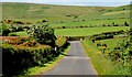 Ballyhacket Lane near Castlerock (1)