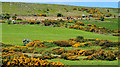 Hill country near Castlerock