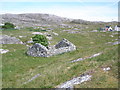 Ruined crofthouse Leac a