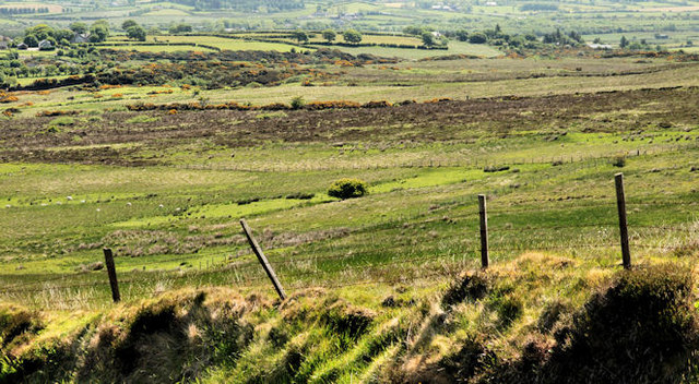 Hill country near Castlerock (3)