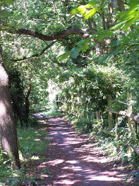 Path beside stream at Testwood