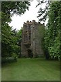 Cerne Abbas, Abbot