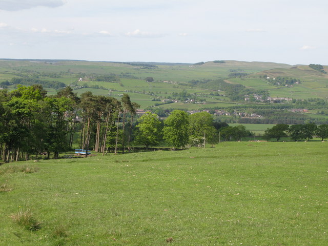 Pastures and woodland east of Allensgreen (3)