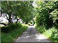 The road west towards Llanystumdwy