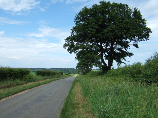 A straight road to Ringstead