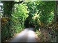 Steep descent on the Gwynfryn road above the village of Llanystumdwy