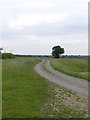 TM3597 : Road to Bush Farm by Glen Denny