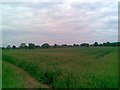 Farmland near Kislingbury