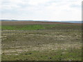 NY7461 : Panorama from the currick on Curricks Rigg (8: SW - Rock House Fell) by Mike Quinn