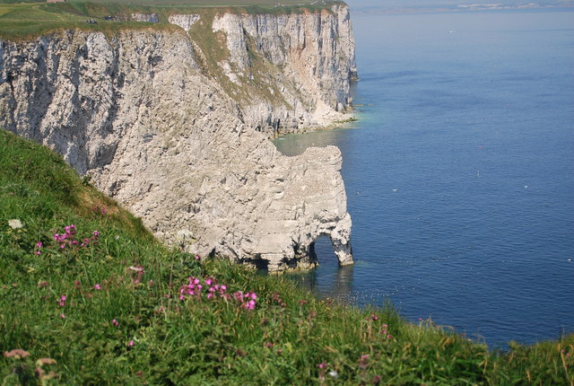 Scale Nab And Bempton Cliffs © N Chadwick Geograph Britain And Ireland 1923