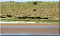 C7836 : Sand dunes near Castlerock by Albert Bridge