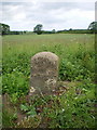 The Burlington milestone - detail