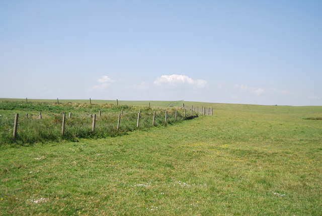 Pasture land by Headland Way