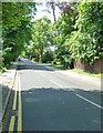 Summer in Oldfield Road