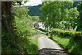 Lane back towards Dol-y-gadfa