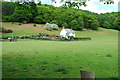 Cottage at Maes-y-rhyddallt