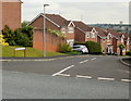 Hornbeam Close, Caerleon