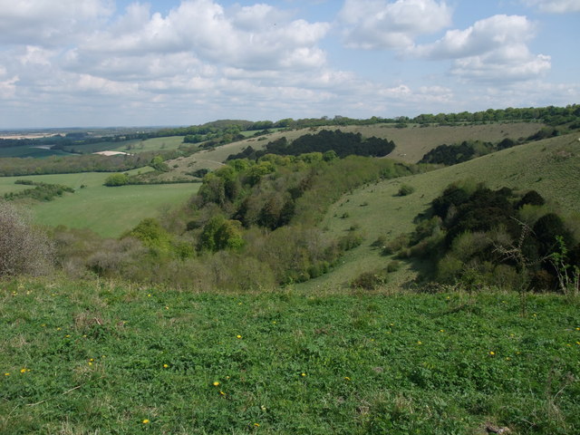 Old Winchester Hill Nature Reserve