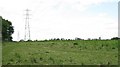 A Distant Druids Heath