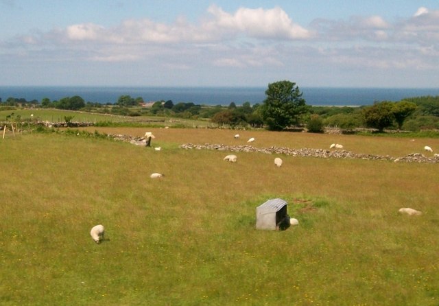 Sheep pastures at Garth Dorwen