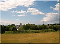 Hay meadow at Glan Byl