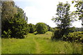 Footpath, Kingswood