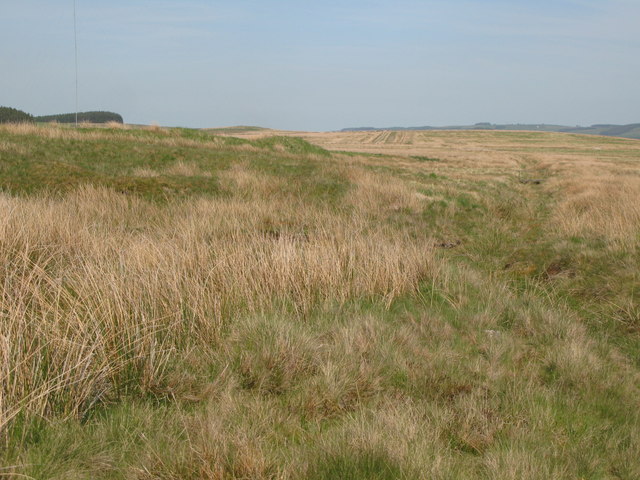 Track in the former opencast coal mine