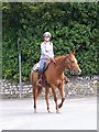 Horse and rider on Phillips Lane