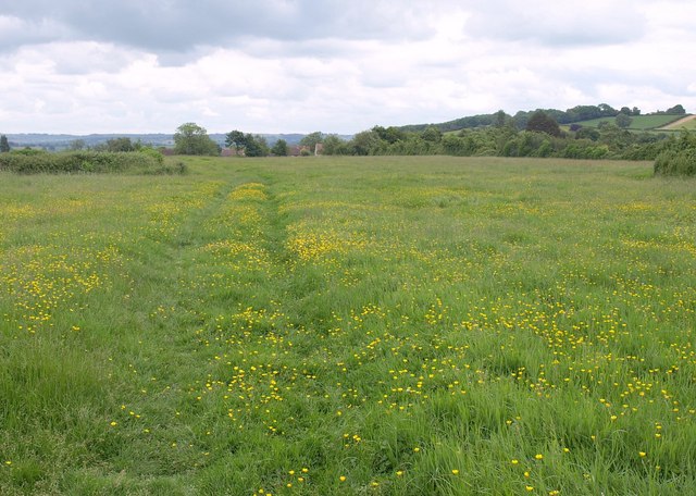 Field near Chilthorne Domer