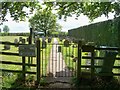 SP2422 : Footpath through the cemetery by Michael Dibb
