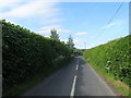 A country lane running parallel with the Rule Water