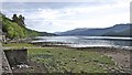 Eastern shoreline of Gare Loch near Shandon