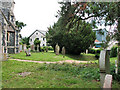 TL7199 : Christ Church in Whittington - churchyard by Evelyn Simak