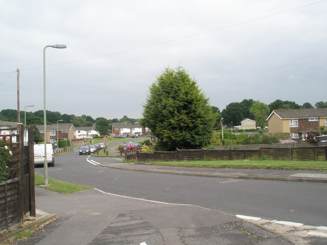 Looking from Cunningham Road towards Boyle Crescent