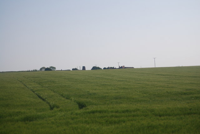 Wheat field near Buckton
