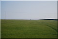 TA1473 : Wheat field, Speeton Field by N Chadwick