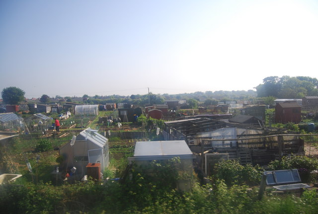 Allotments by the railway