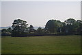 Woodland near Gristhorpe